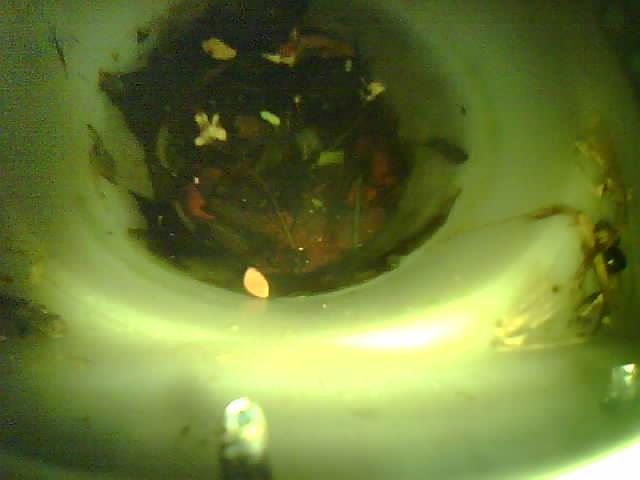 Upload Problem