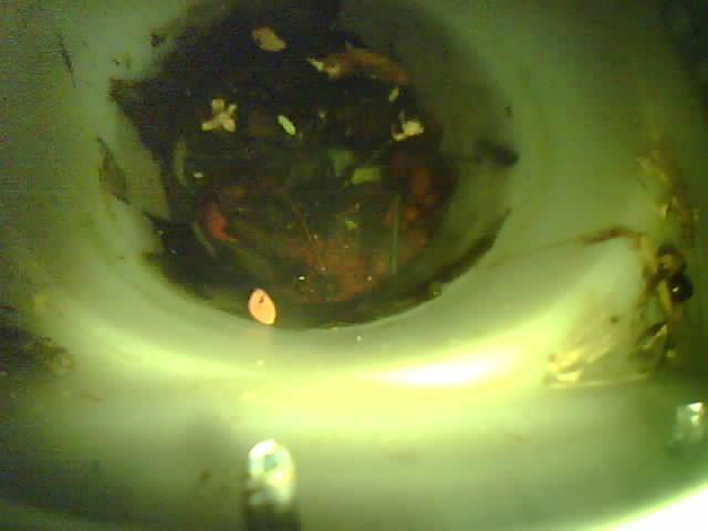 Upload Problem