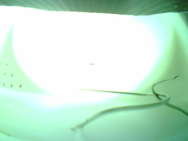 Upload Problem