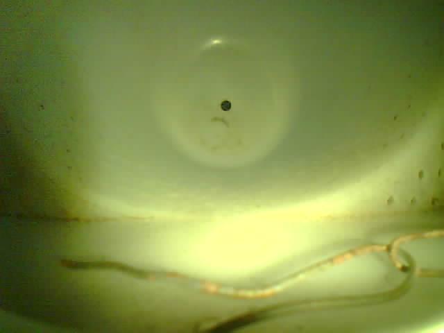 Upload Problem