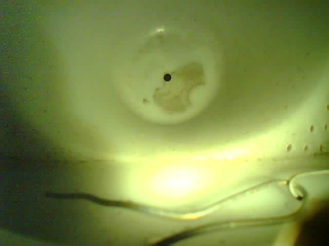 Upload Problem