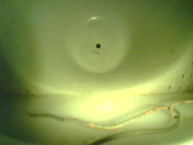 Upload Problem