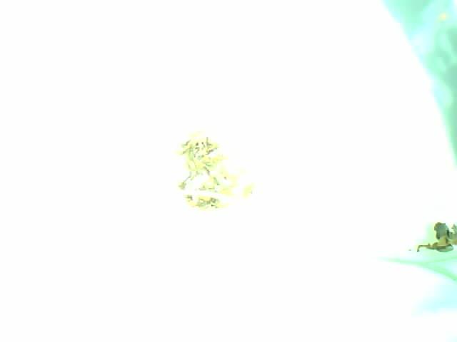Upload Problem