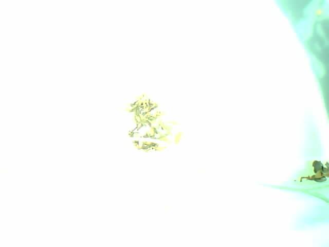 Upload Problem