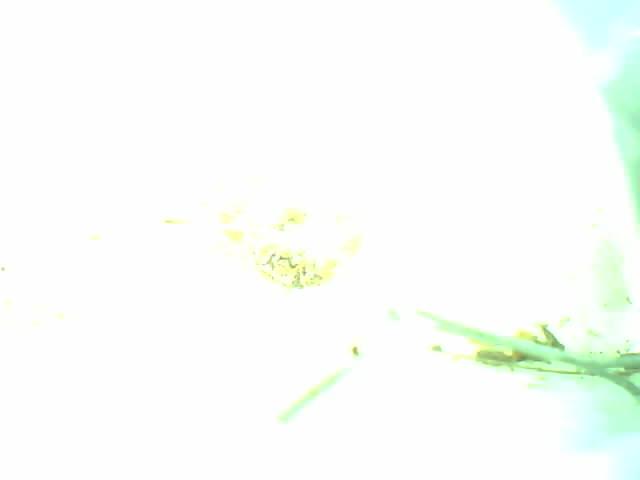 Upload Problem