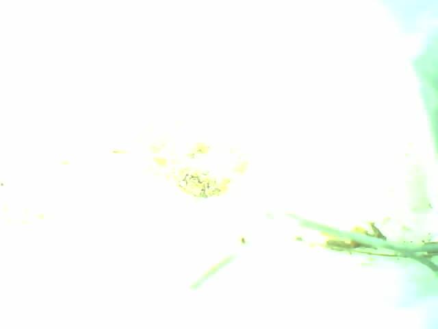 Upload Problem