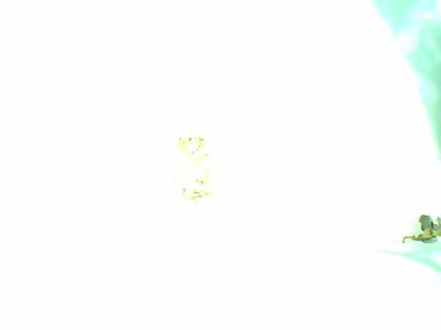 Upload Problem