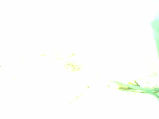 Upload Problem