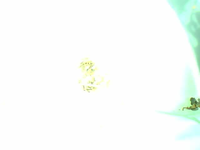 Upload Problem