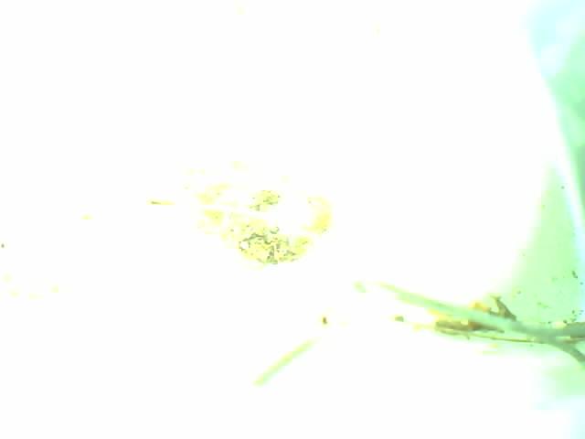 Upload Problem