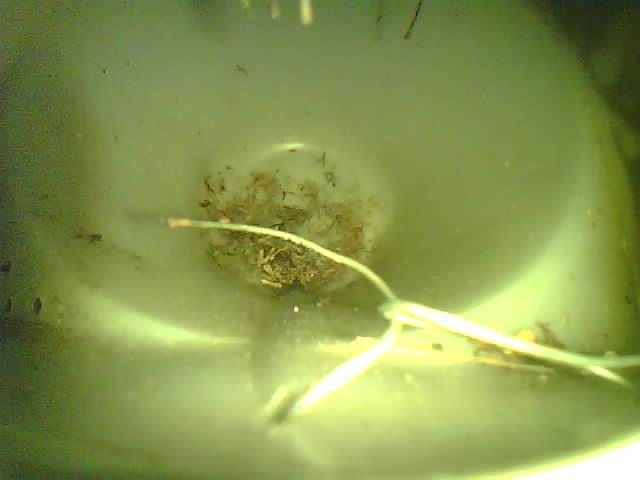 Upload Problem