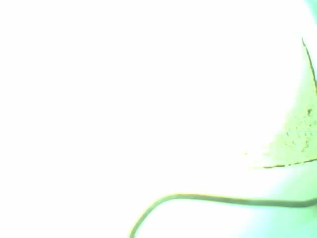 Upload Problem