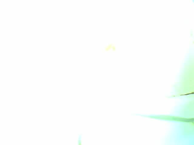 Upload Problem