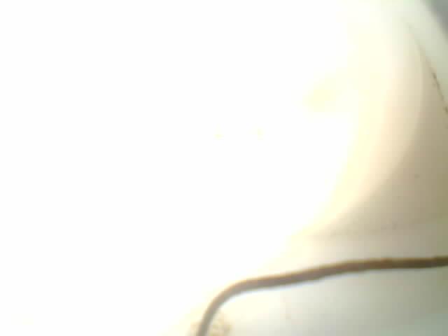Upload Problem