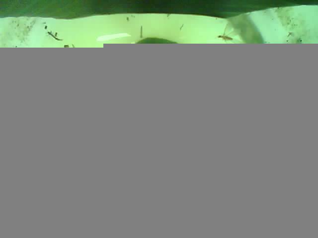 Upload Problem