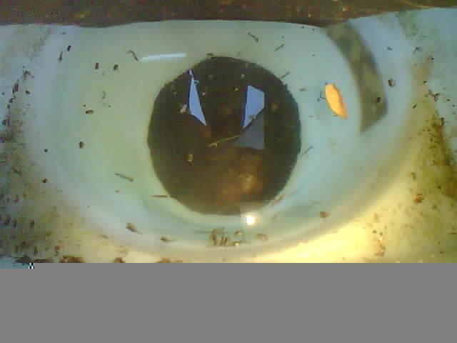 Upload Problem