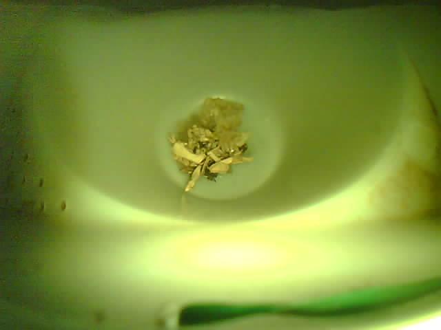 Upload Problem
