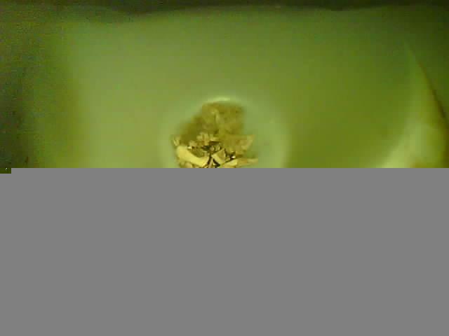 Upload Problem