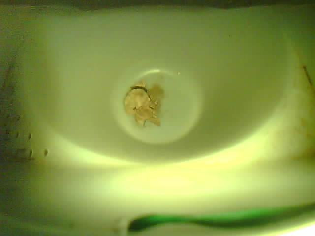 Upload Problem