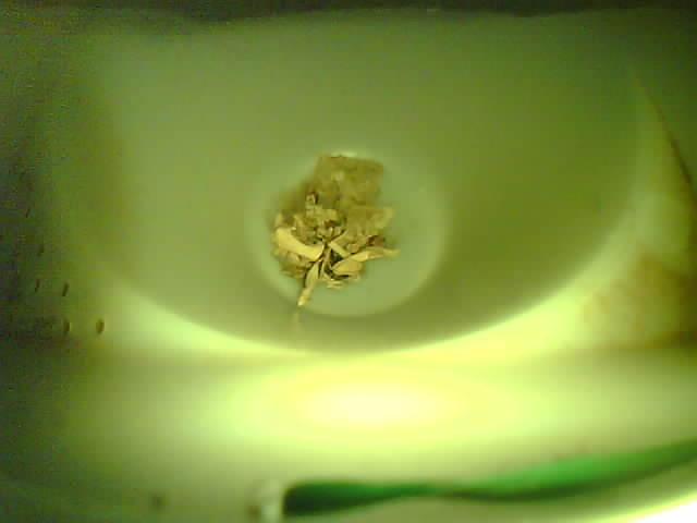 Upload Problem