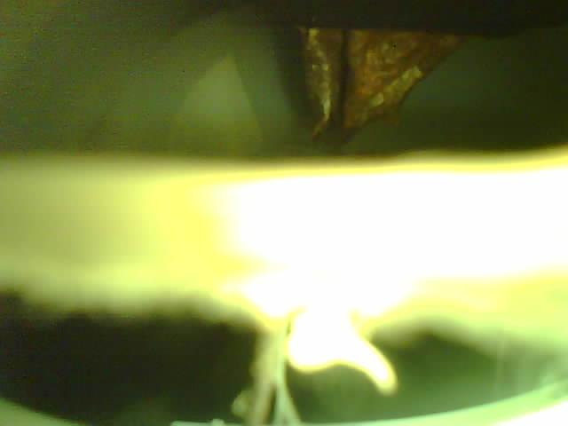 Upload Problem