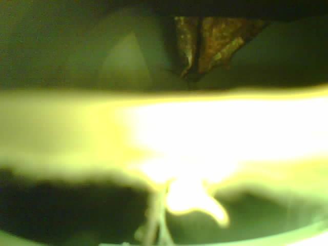Upload Problem