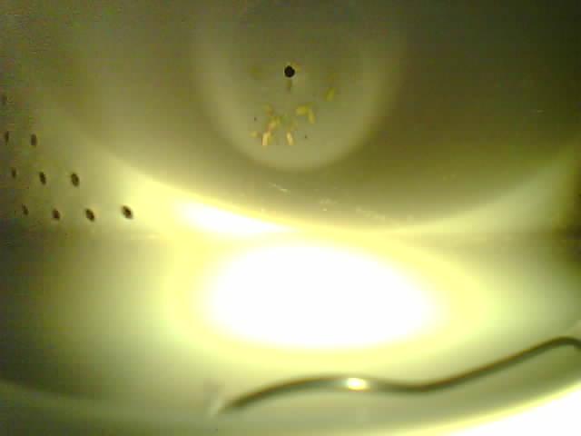 Upload Problem
