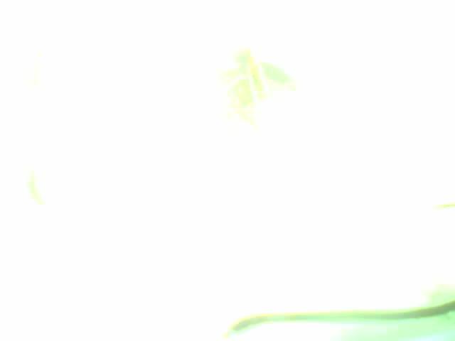 Upload Problem