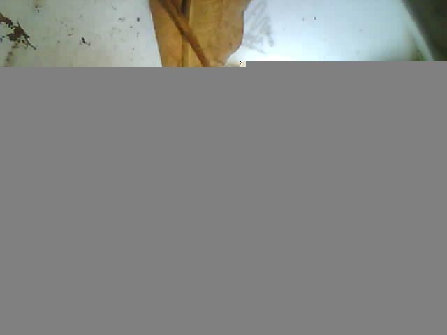 Upload Problem