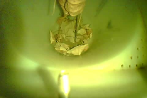 Upload Problem