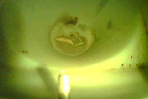 Upload Problem