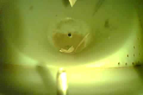Upload Problem