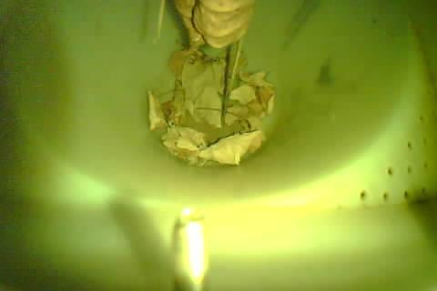 Upload Problem