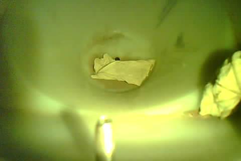 Upload Problem