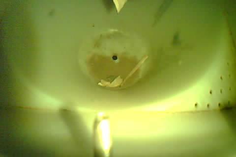 Upload Problem