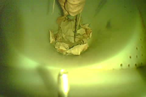 Upload Problem