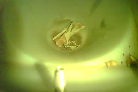 Upload Problem