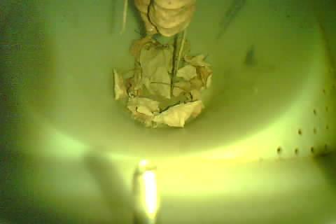 Upload Problem