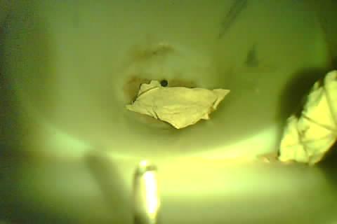 Upload Problem