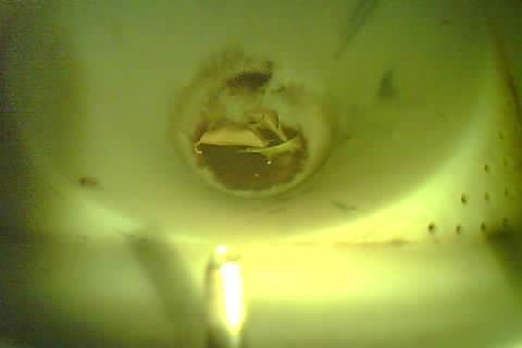 Upload Problem