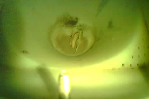 Upload Problem