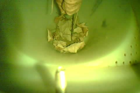 Upload Problem