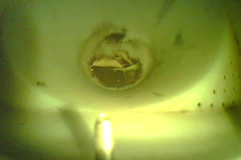 Upload Problem