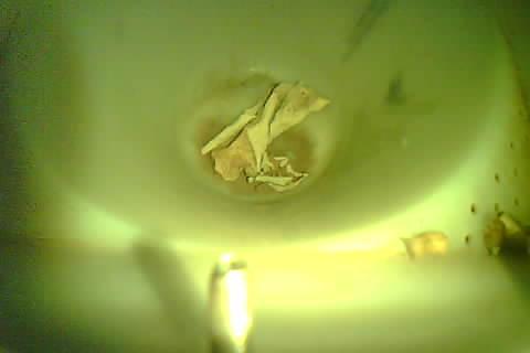 Upload Problem