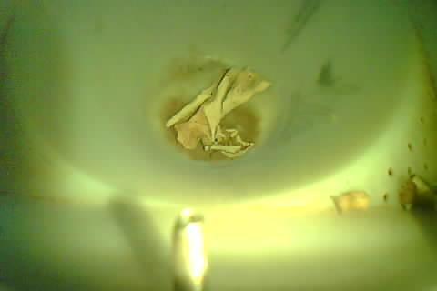 Upload Problem