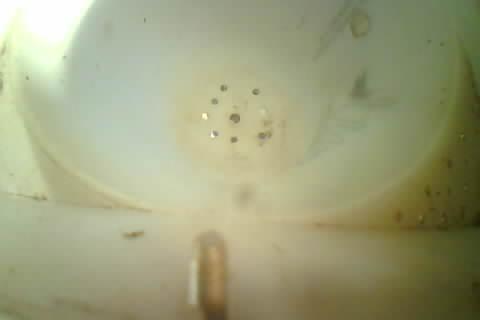Upload Problem