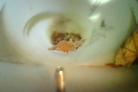 Upload Problem