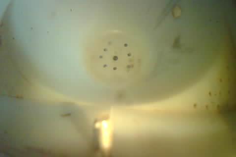 Upload Problem