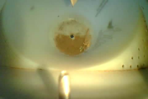 Upload Problem