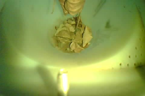 Upload Problem